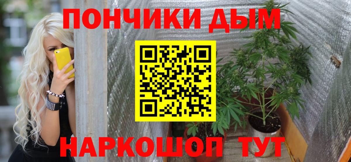 Ефремов  Бошки Шишки план  Бошки Шишки гибрид  Вход с VPN  Конопля AK-47  Бошки марихуана ГИДРОПОН 